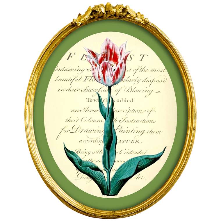 Картина Эпоха тюльпанов версия 1 в раме Бетти
