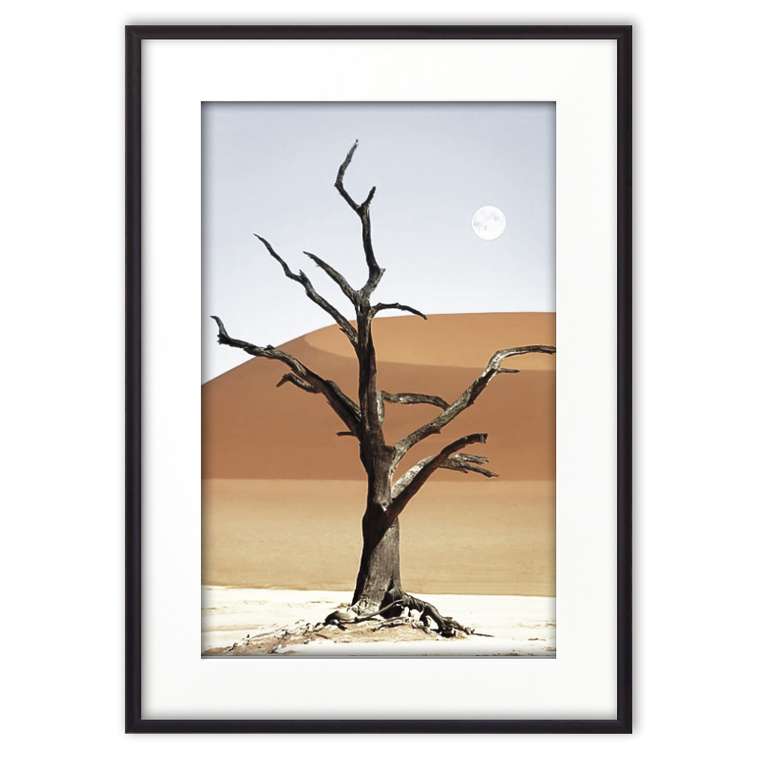 Постер в рамке Дерево в пустыне 21х30 см