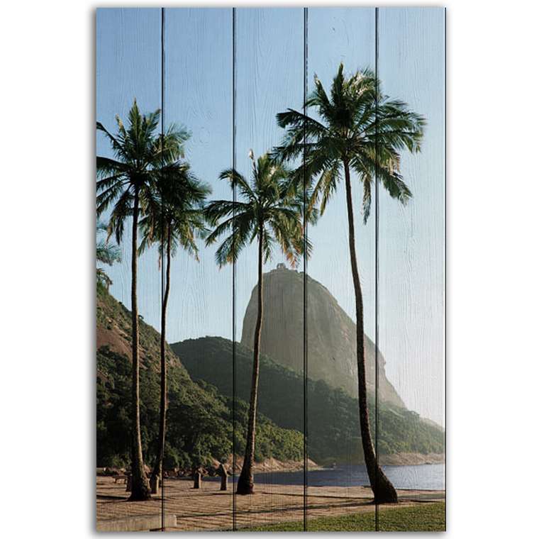 Картина на дереве Побережье Рио-де-Жанейро 40х60 см