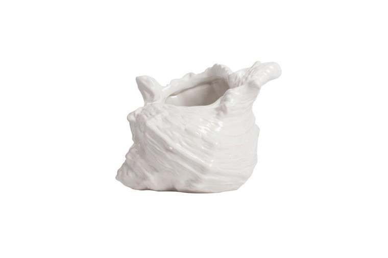 Набор декоративных ракушек Monpelier