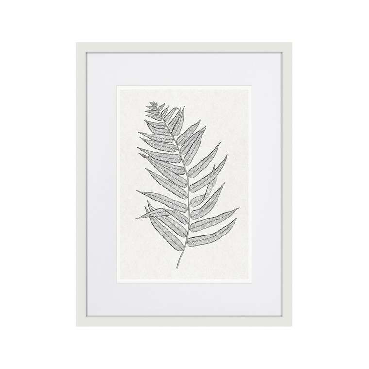 Репродукция картины The fern collection №4