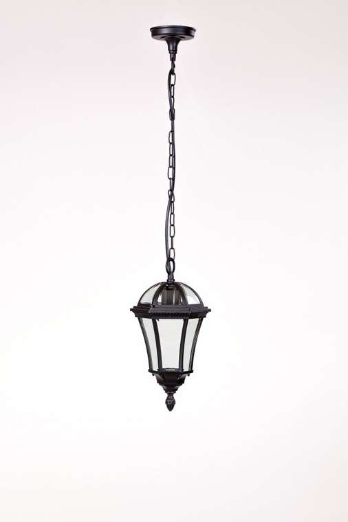 Уличный подвесной светильник IP44 95205S Bl Oasis Light