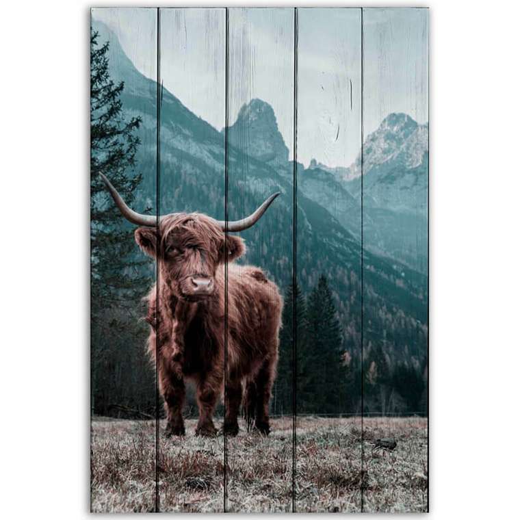 Картина на дереве Шотландский бык 40х60 см