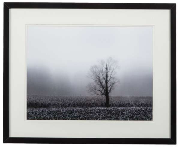 Постер с паспарту в раме "Fog & Tree"
