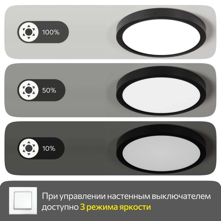 Citilux Бейсик CL738121N Светильник накладной Чёрный