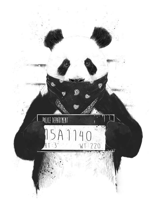 Принт «Bad panda» by Balazs Solti