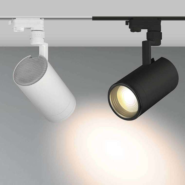 Трековый светильник Arlight LGD-ZEUS-4TR-R100-30W Day 024609