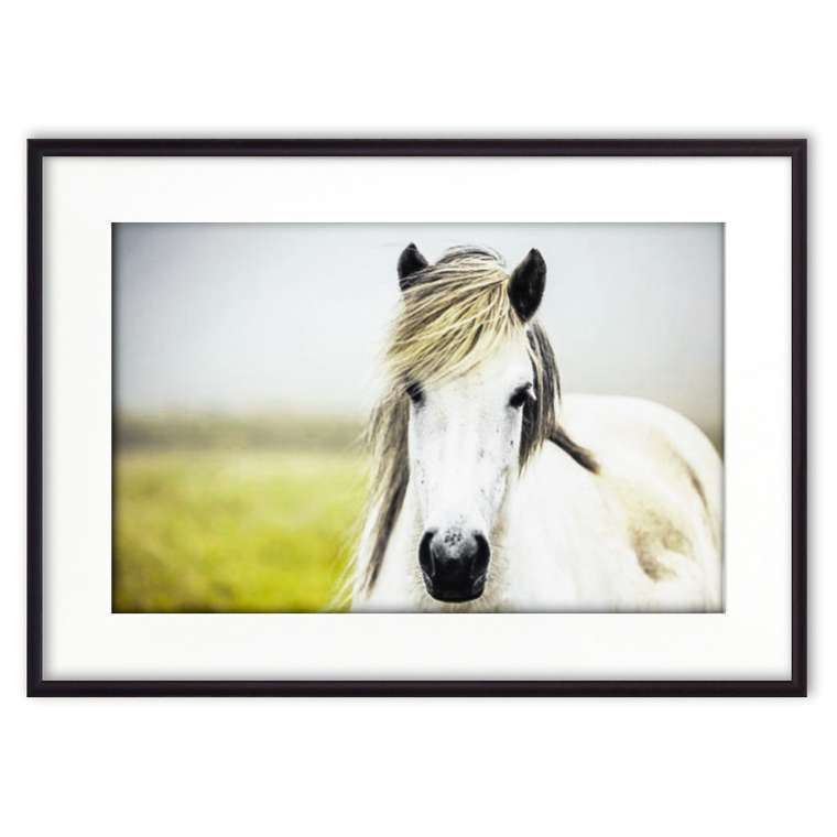 Постер в рамке Белая лошадь 4 21х30 см