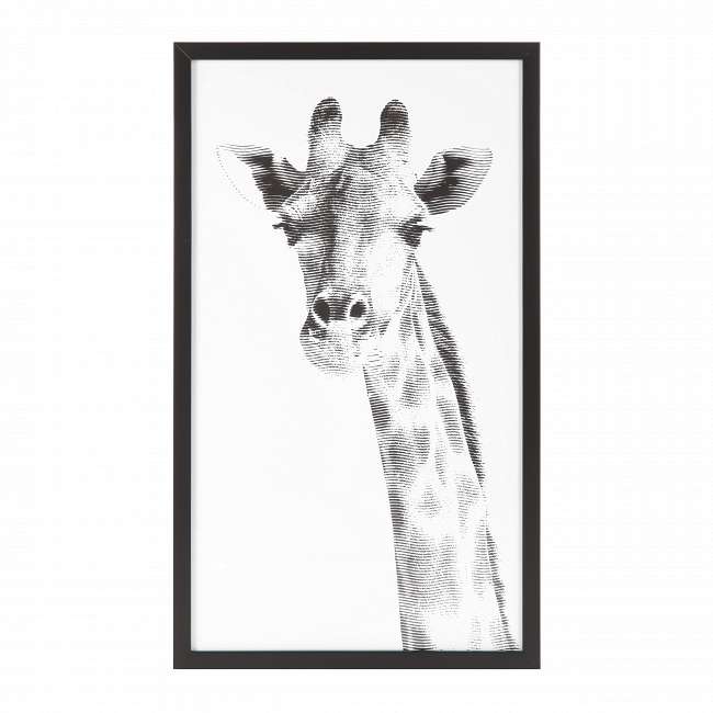 Постер в раме  Giraffe с изображением жирафа 