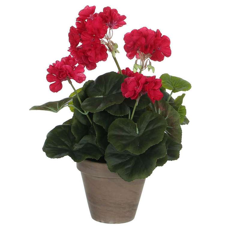 Декоративное растение 11,5 x 33 cm Розовый PVC