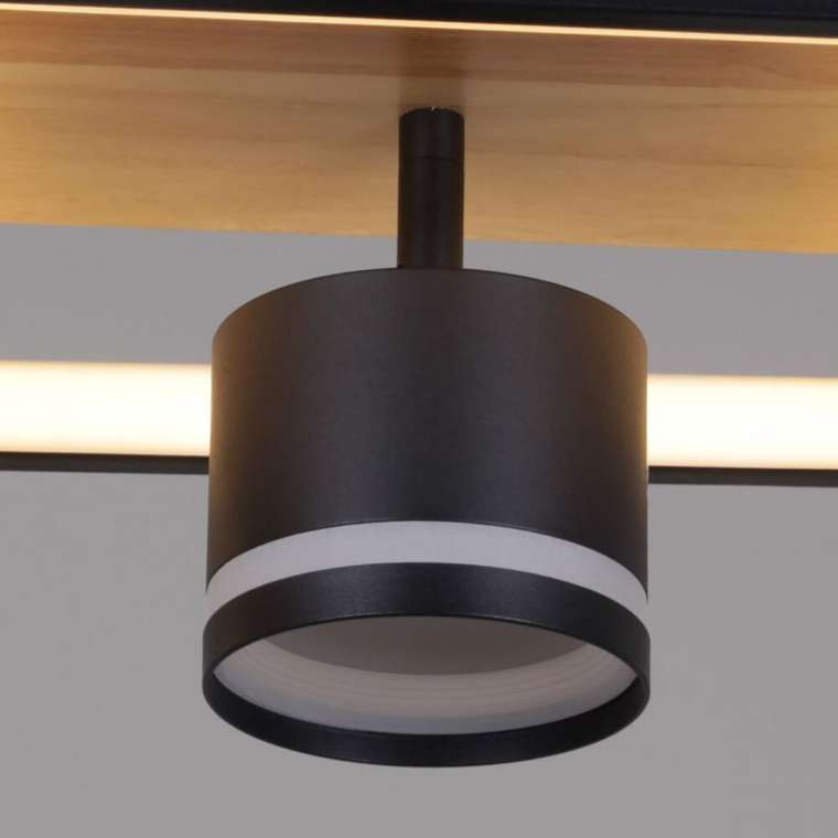 Потолочный светильник 19560-0.3-2+2 BK+WOOD (металл, цвет черный)