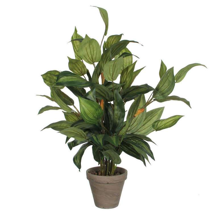 Декоративное растение Hosta Зеленый PVC (15,5 x 65 cm)