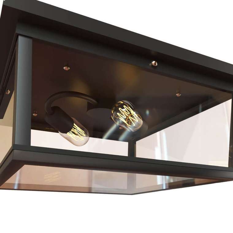 Потолочный светильник Modern Filament Loft3110-2C (стекло, цвет прозрачный)