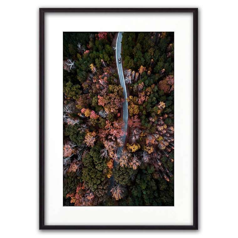 Постер в рамке Осенний лес с высоты 21х30 см