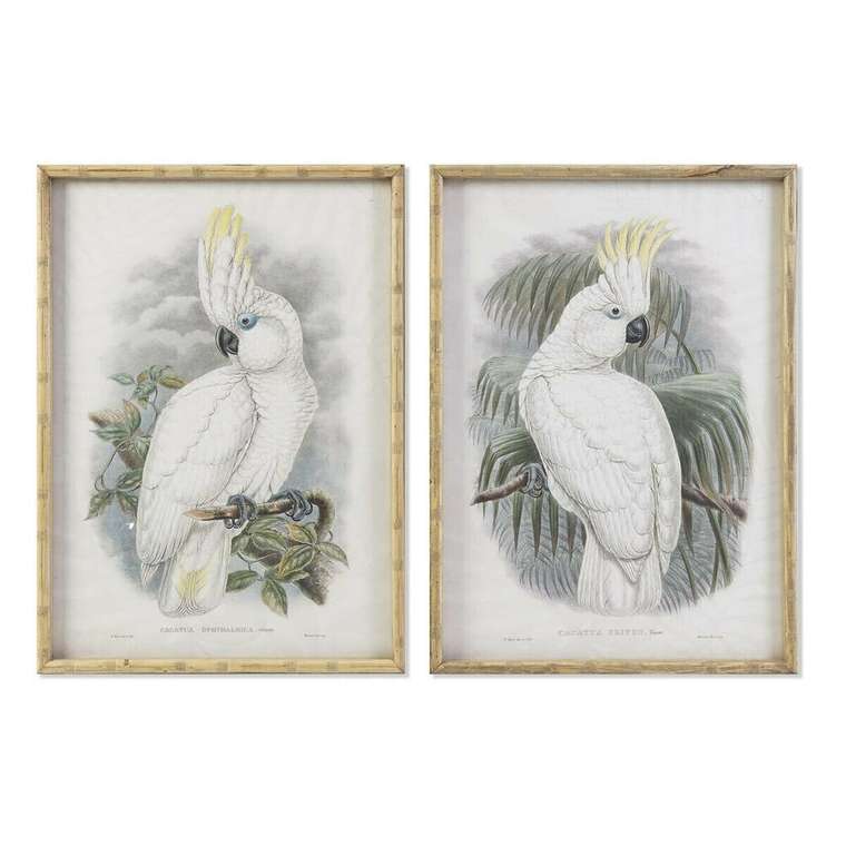 Картина 50 x 2,8 x 70 cm Колониальный Попугай (2 штук)