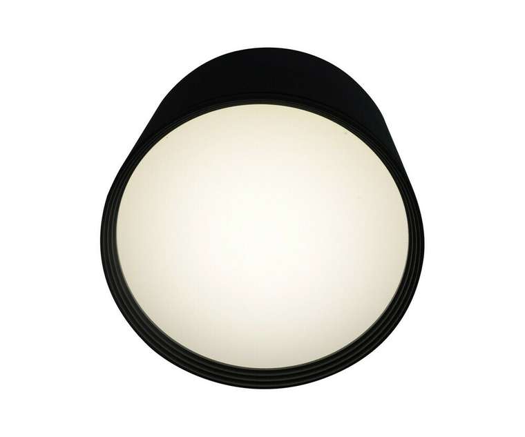 Потолочный светодиодный светильник Медина черного-белого цвета