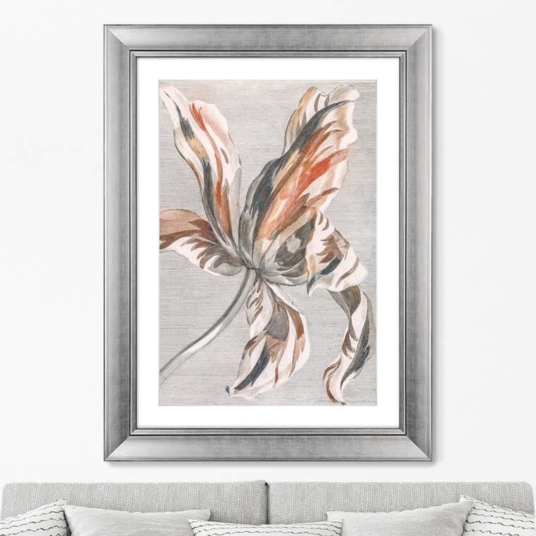 Репродукция картины Tulip, 1699г