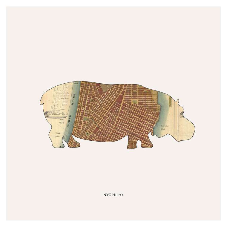 Картина (репродукция, постер): NYC Hippo