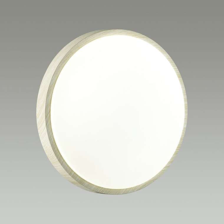 Настенно-потолочный светильник Losta 7628/EL (пластик, цвет белый)