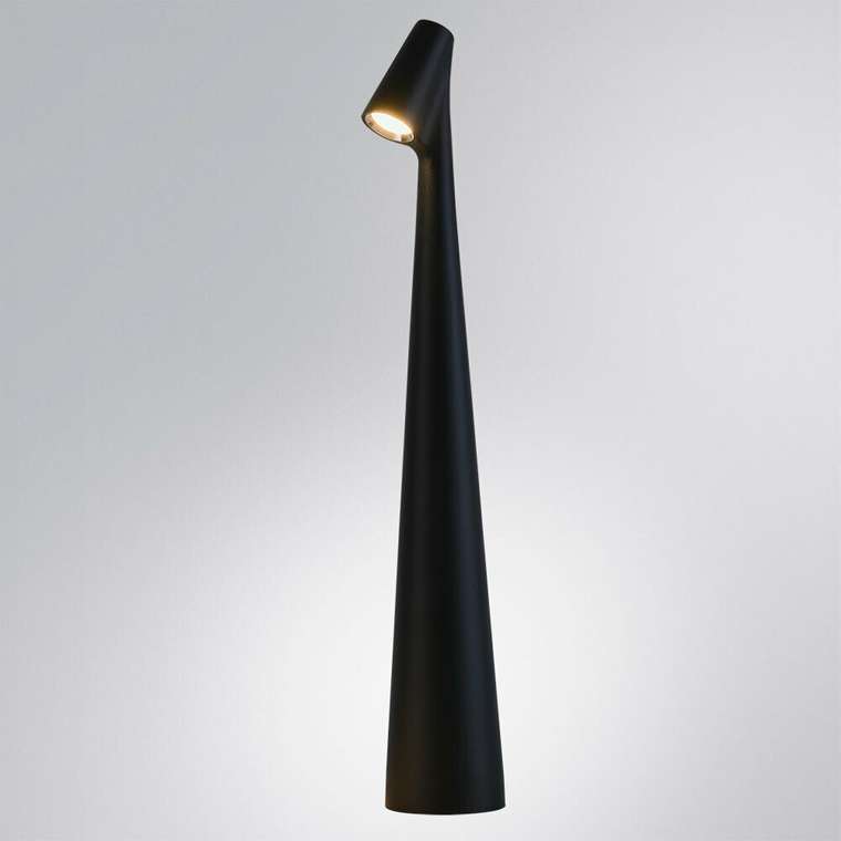 Декоративная настольная лампа Arte Lamp FUSION A3283LT-2BK