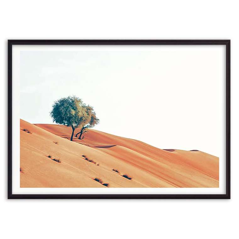 Постер в рамке Деревья в пустыне 21х30 см