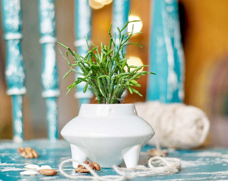 Набор для выращивания Экочеловеки eco нло