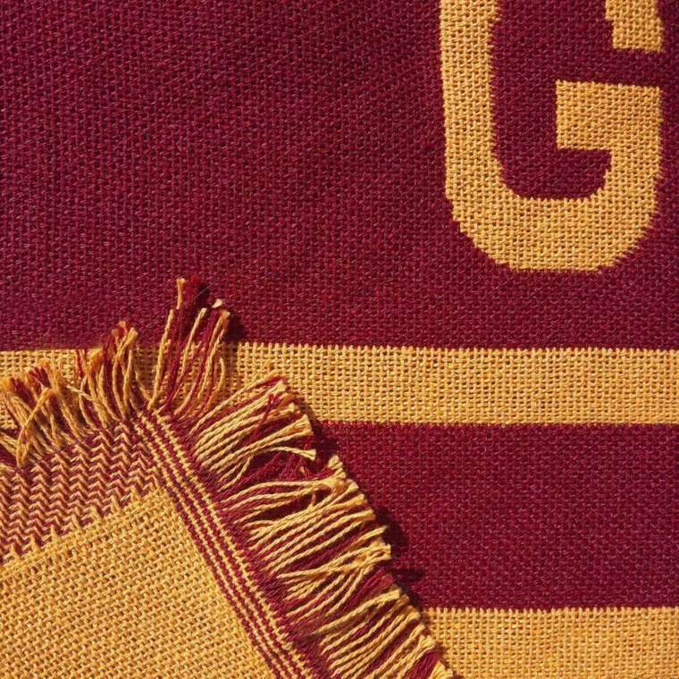 Покрывало 130х170 Gryffindor House разноцветное