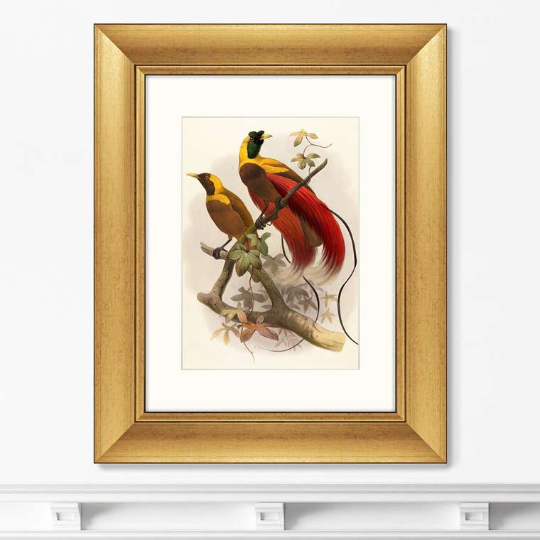Картина Красная райская птица 1880 г.  