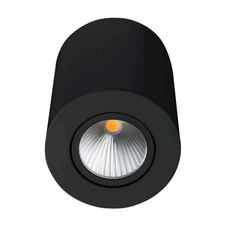 Потолочный светильник SP-FOCUS 029530 (металл, цвет черный)