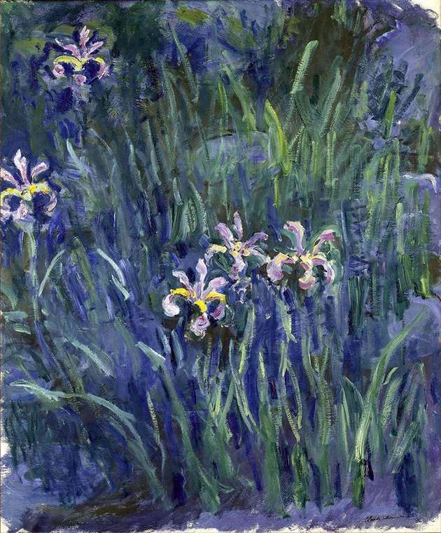 Картина (репродукция, постер): Irises, 1914 - Клод Моне
