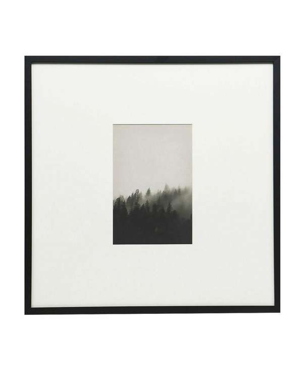 Интерьерный постер Foggy forest 70х70 серо-черного цвета