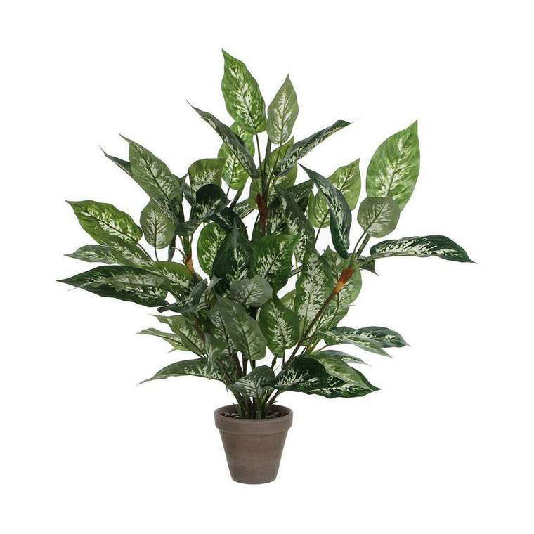 Декоративное растение Dieffenbachia Dieffenbachia Зеленый PVC (15,7 x 70 cm)
