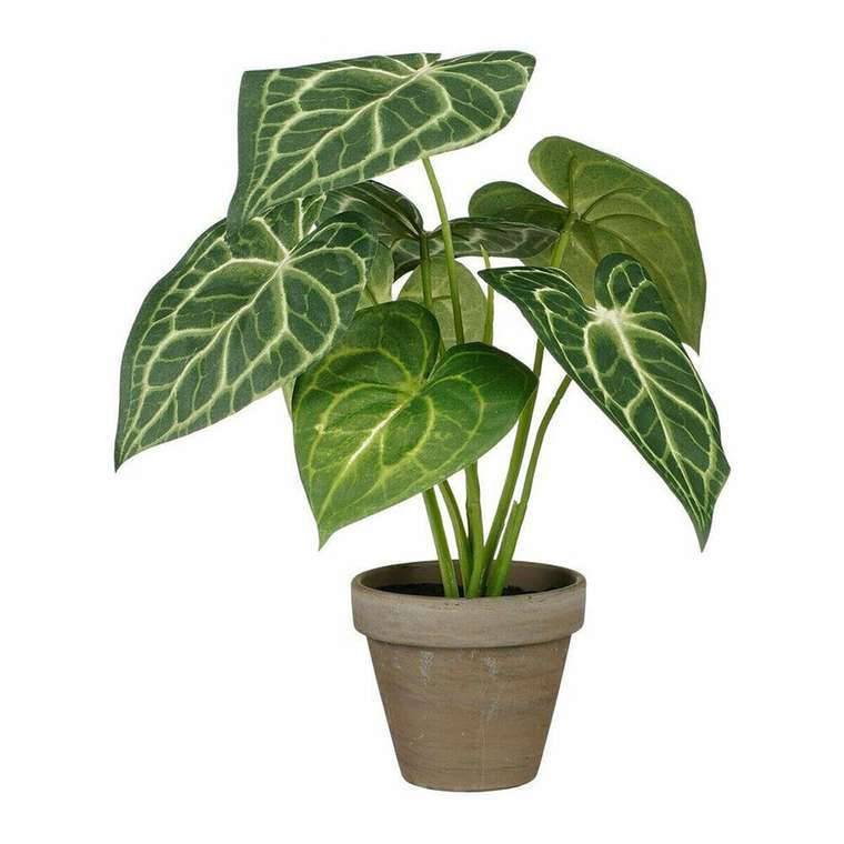 Декоративное растение Caladium 21 x 28 cm Искусственная