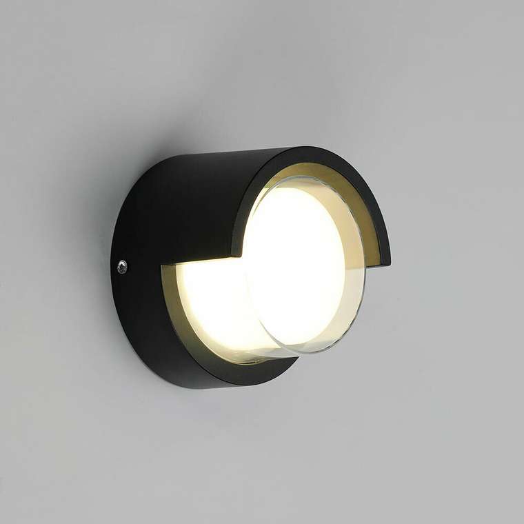 Уличный настенный светильник Arte Lamp ULYSSES A8909AL-1BK