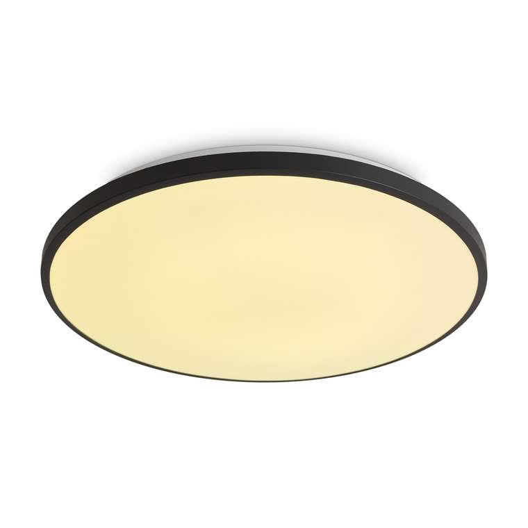 Потолочный светильник Freya FR6211CL-L24B Обель / Obelle LED