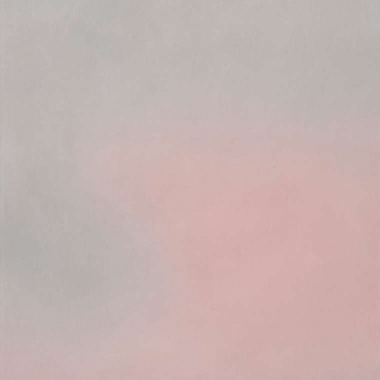 Бесшовная фреска на штукатурке RFRESCO ai0197_Gray-pink light goose (фотообои) по индивидуальным размерам
