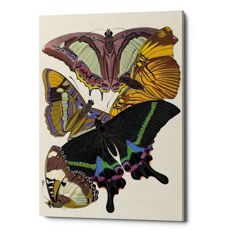 Картина Бабочки мира, версия 15