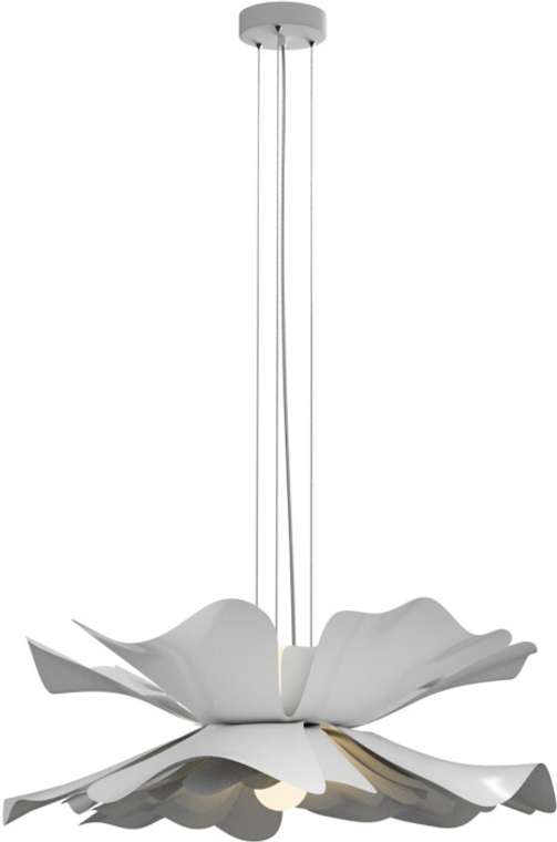 Подвесная люстра Lightera Chad LE116L-55W