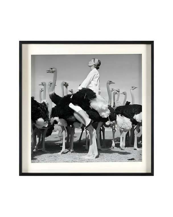 Постер Wenda Ostriches 90х90 серого цвета