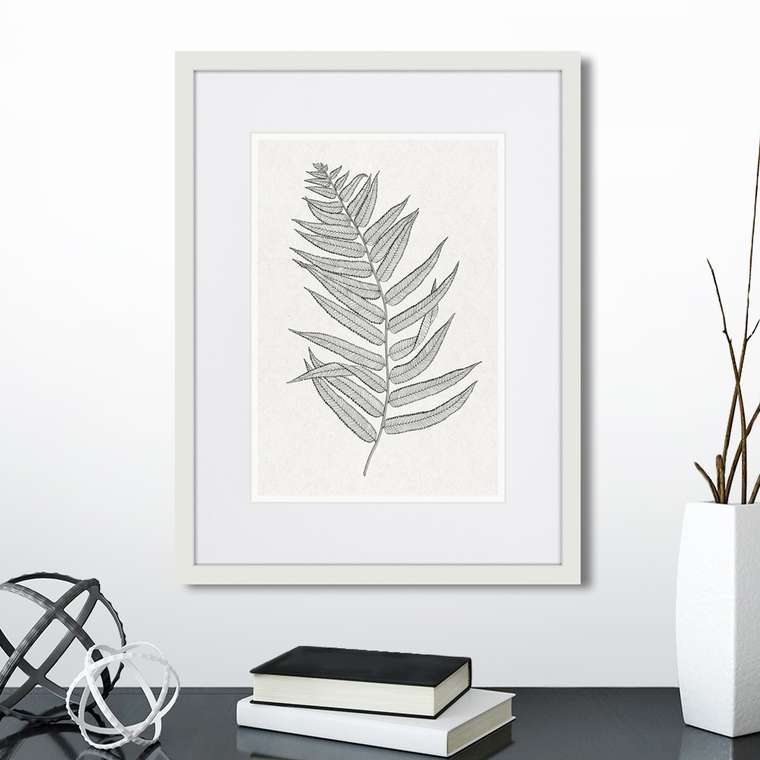 Репродукция картины The fern collection №4