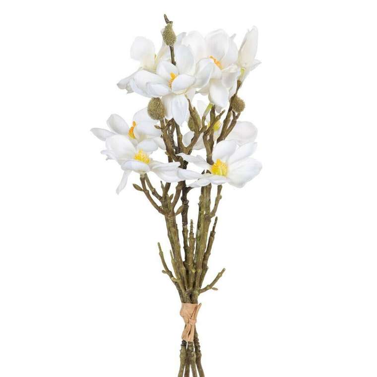 Букет Белый Зеленый 37 x 20 x 41 cm Magnolia
