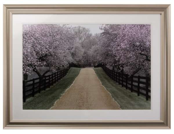 Постер Apple Blossom Lane