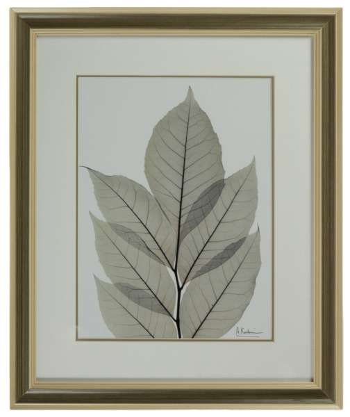 Постер Feuilles Sèches