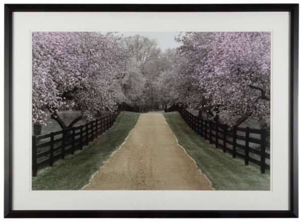 Постер Apple Blossom Lane