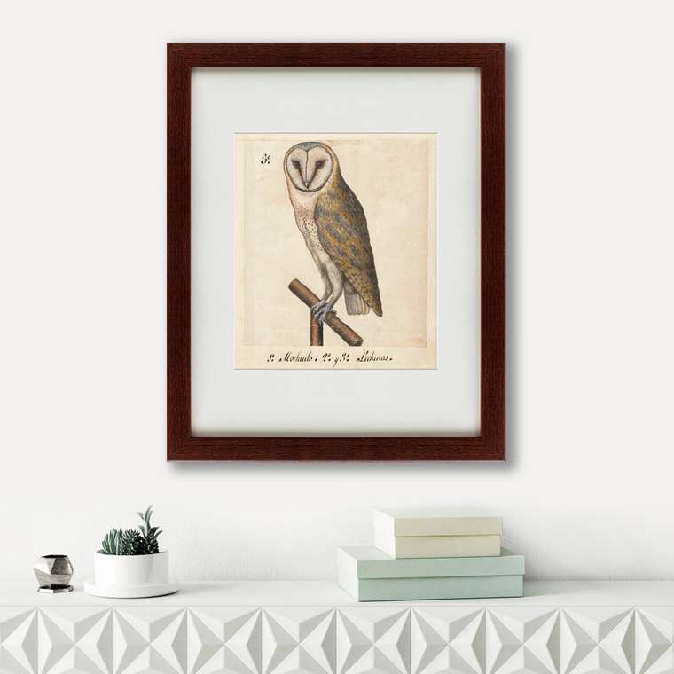 Картина One owl 1560 г. 