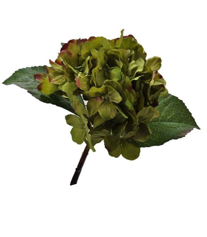 Декоративный цветок Hydrange гортензия зеленого цвета