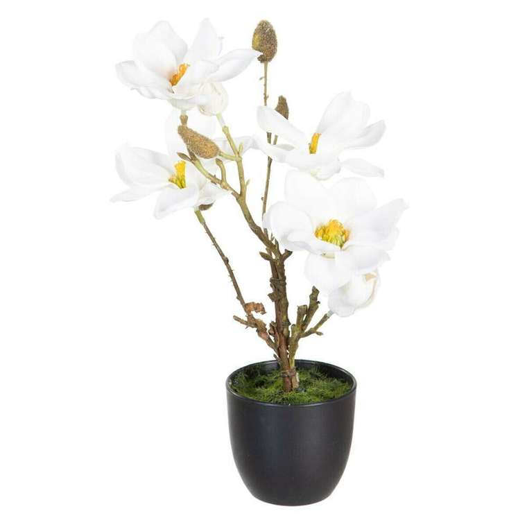 Декоративное растение полиэстер полиэтилен Железо 22 x 22 x 38 cm Magnolia