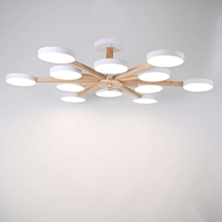 Потолочный светильник TURNA L12 White