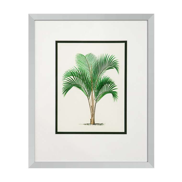 Набор из 4-х постеров Prints Eichholtz с изображением пальм
