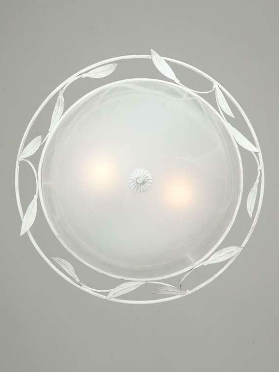 Настенно-потолочный светильник V6862-0/2A (металл, цвет белый)